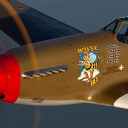 P-51s and Partyfouls Discord server icon