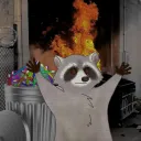 Raccoon's Chaotic Lair
