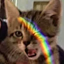 Amigues de Tris  Discord Server Icon