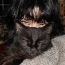 LuckyCat Discord Server Icon