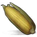 CornRust