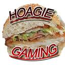 Hoagsters Discord Server Icon