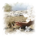 ⟡   Serendipity   ˳  🪽  REVAMP IN-PROGRESS discord icon