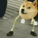 The dysfunctional domain Discord Server Icon