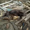 DESATIVADO