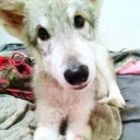 ok Discord Server Icon