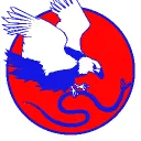 American National Union Party