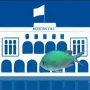 La Municipalidad 🏦 discord icon