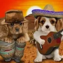 segredo shh Discord Server Icon