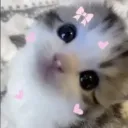 You're my Pookie ⎮ 250?