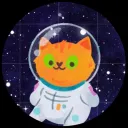 Orange Cat Always