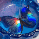 ♡⊹˚₊⊹₊Chérie₊⊹₊˚⊹♡