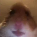 Faggot Filled