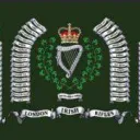 Irish Rifles