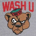 WashU Class of 2028
