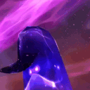 The Nebula