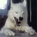 𝐆𝐞𝐭𝐭𝐨 Discord Server Icon