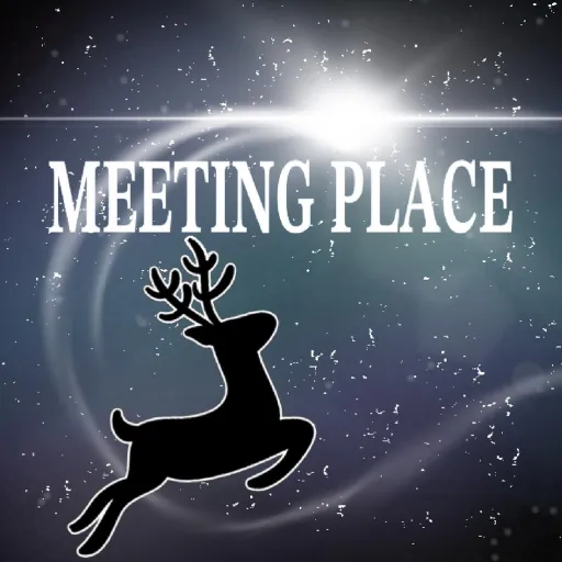 ᴍᴇᴇᴛɪɴɢ ᴘʟᴀᴄᴇ — мониторинг Discord сервера, статистика и рейтинг