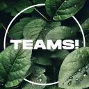 ＞＜﹐⭐  .  Teams﹒⪨