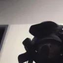 2024 music Discord Server Icon