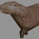 capibara den