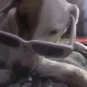 Servidor de jooj mito