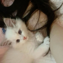 ⋆  . Discord server icon