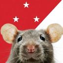 The Rat Army