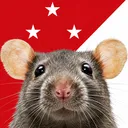 The Rat Army