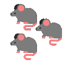 The Rat Army icon