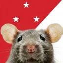 The Rat Army