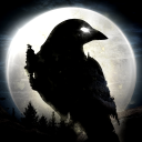 NIGHT CROWS