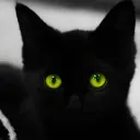 Дом Котика 🐱