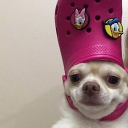 Roblox Gc age limit:12-15