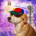 lowercase gervais' Community Server