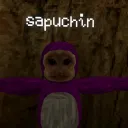 Sapuchin