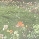 ꒰აׅ/ sanrio park 𓏲 ⁺ ⸝⸝