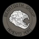 Beartooth Group