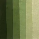 𝐆𝐫𝐞𝐞𝐧