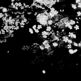 DEVICENOV SQUAD? — мониторинг Discord сервера, статистика и рейтинг