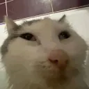 The Schizo Rehabilitation Facility