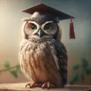 Scholars of Late Nights