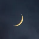 'ta3rees Discord Server Icon