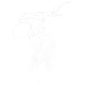𝙆𝙂 𝙋𝙃𝙊𝙏𝙊
