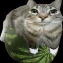 ༺ℐ𝓃𝓈𝒶𝓃ℯ 𝒶𝓈𝓎𝓁𝓊𝓂༻ Discord server icon