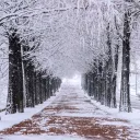 Winter Rewards