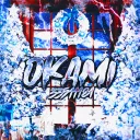 okami ; fg