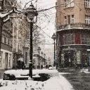 𝗙𝗿𝗶𝗲𝗻𝗱𝗹𝘆 𝗥𝗼𝗼𝗺 ☃