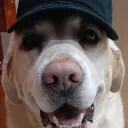 Samson