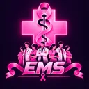 EMS Recrutement - LS City